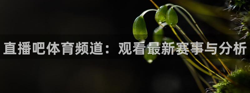 直播吧体育频道：观看最新赛事与分析