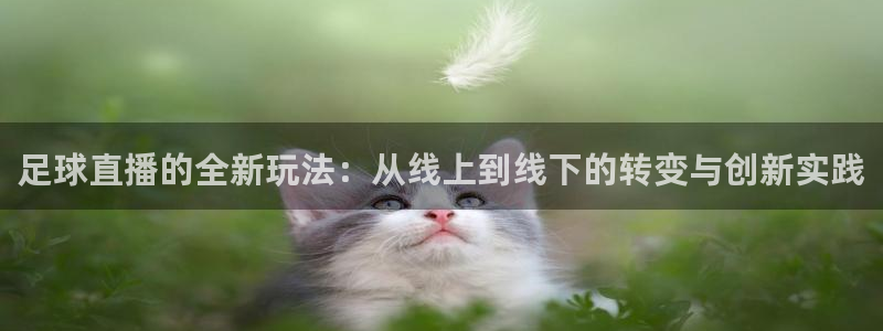 足球直播的全新玩法：从线上到线下的转变与创新实践