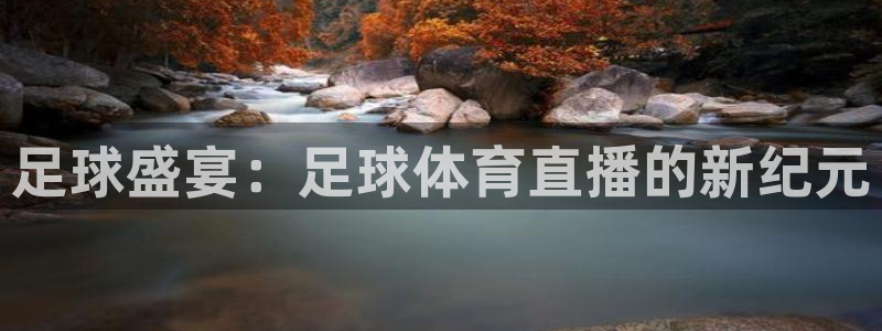 足球盛宴：足球体育直播的新纪元