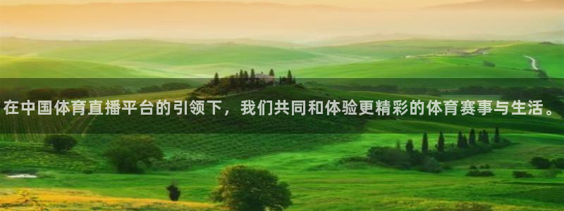 在中国体育直播平台的引领下，我们共同和体验更精彩的体育赛事与生活。