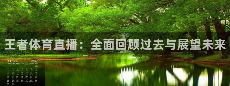 王者体育直播：全面回顾过去与展望未来
