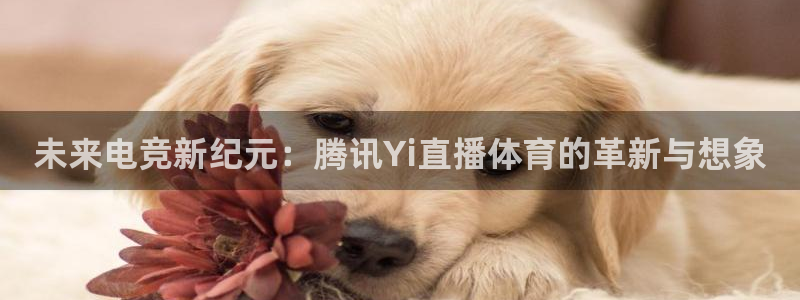 未来电竞新纪元：腾讯Yi直播体育的革新与想象
