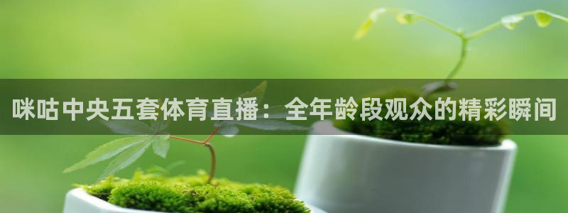 咪咕中央五套体育直播：全年龄段观众的精彩瞬间