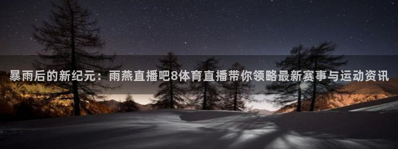 暴雨后的新纪元：雨燕直播吧8体育直播带你领略最新赛事与运动资讯