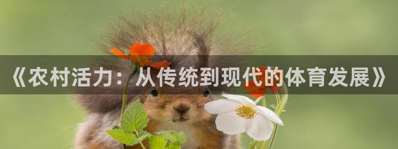 《农村活力：从传统到现代的体育发展》