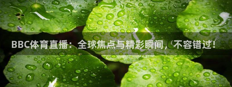 BBC体育直播：全球焦点与精彩瞬间，不容错过！