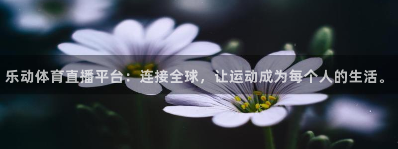 乐动体育直播平台：连接全球，让运动成为每个人的生活。