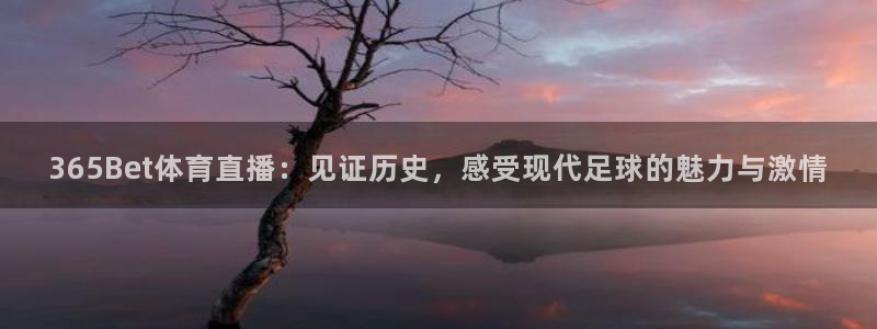 365Bet体育直播：见证历史，感受现代足球的魅力与激情