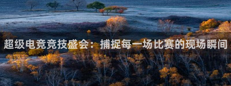 超级电竞竞技盛会：捕捉每一场比赛的现场瞬间