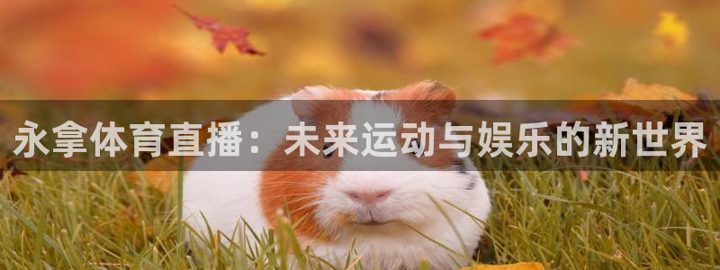 永拿体育直播：未来运动与娱乐的新世界
