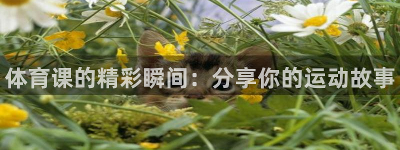 体育课的精彩瞬间：分享你的运动故事
