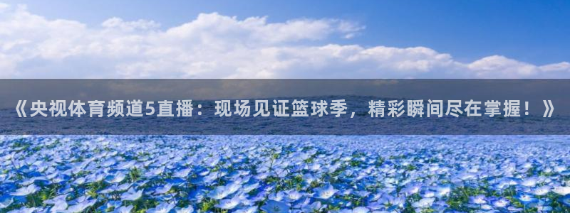 《央视体育频道5直播：现场见证篮球季，精彩瞬间尽在掌握！》