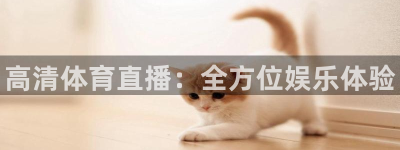 高清体育直播：全方位娱乐体验