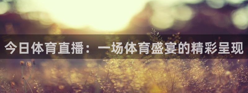 今日体育直播：一场体育盛宴的精彩呈现