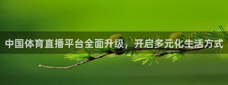 中国体育直播平台全面升级，开启多元化生活方式