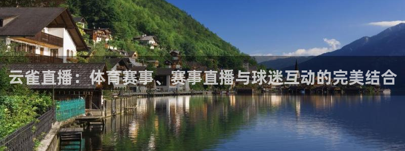 云雀直播：体育赛事、赛事直播与球迷互动的完美结合
