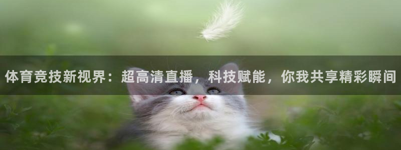 体育竞技新视界：超高清直播，科技赋能，你我共享精彩瞬间