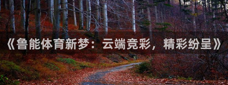 《鲁能体育新梦：云端竞彩，精彩纷呈》