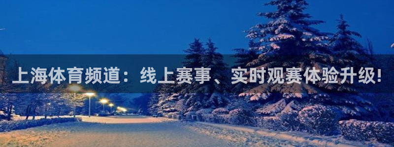 上海体育频道：线上赛事、实时观赛体验升级!