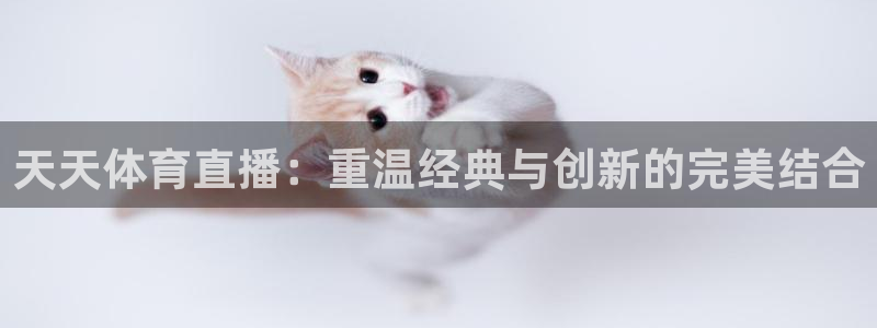 天天体育直播：重温经典与创新的完美结合