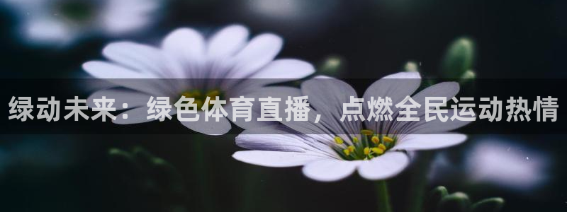 绿动未来：绿色体育直播，点燃全民运动热情