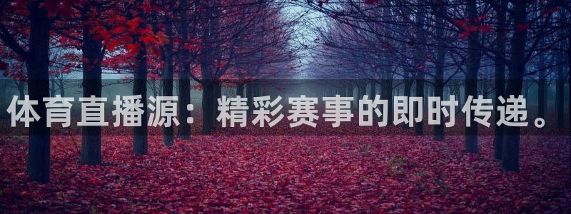 体育直播源：精彩赛事的即时传递。