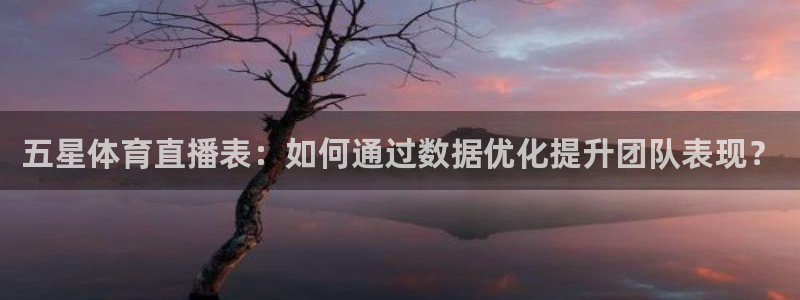 五星体育直播表：如何通过数据优化提升团队表现？