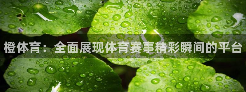 橙体育：全面展现体育赛事精彩瞬间的平台