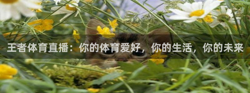 王者体育直播：你的体育爱好，你的生活，你的未来