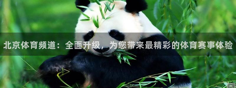 北京体育频道：全面升级，为您带来最精彩的体育赛事体验