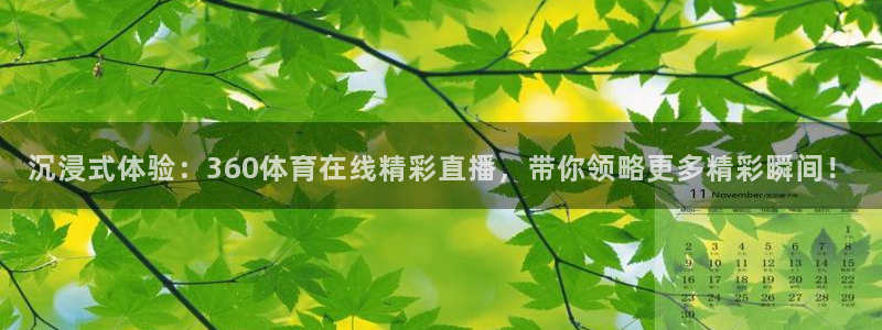 沉浸式体验：360体育在线精彩直播，带你领略更多精彩瞬间！