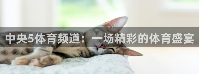 中央5体育频道：一场精彩的体育盛宴