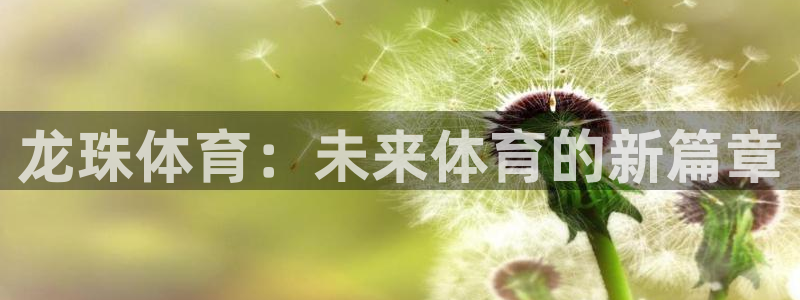 龙珠体育：未来体育的新篇章