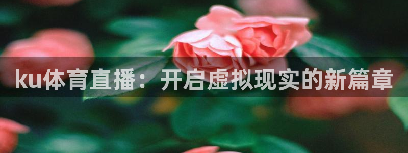 ku体育直播：开启虚拟现实的新篇章