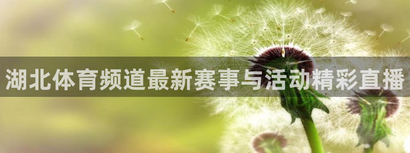 湖北体育频道最新赛事与活动精彩直播