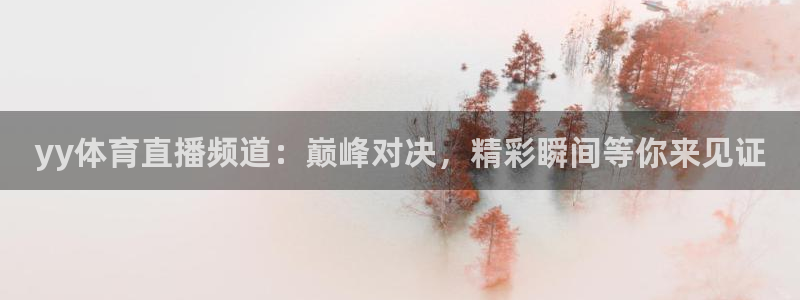 yy体育直播频道：巅峰对决，精彩瞬间等你来见证