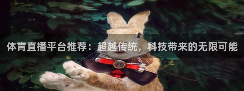 体育直播平台推荐：超越传统，科技带来的无限可能