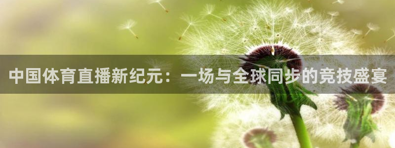 中国体育直播新纪元：一场与全球同步的竞技盛宴