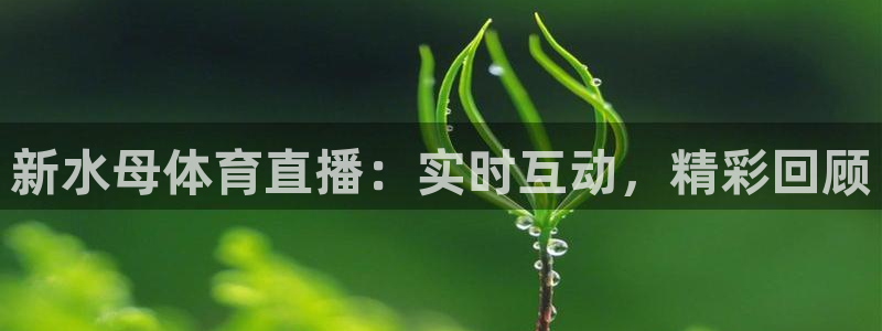 新水母体育直播：实时互动，精彩回顾