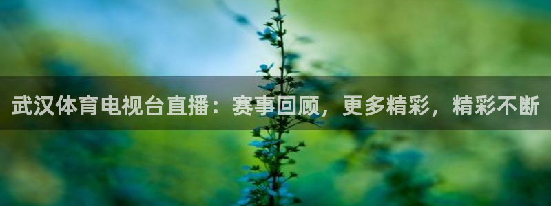 武汉体育电视台直播：赛事回顾，更多精彩，精彩不断