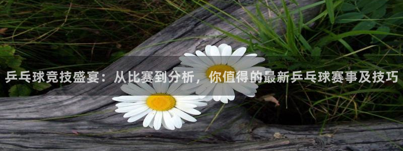 乒乓球竞技盛宴：从比赛到分析，你值得的最新乒乓球赛事及技巧