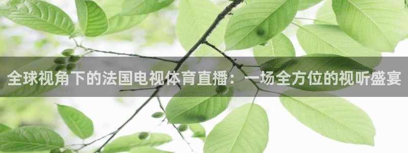 全球视角下的法国电视体育直播：一场全方位的视听盛宴