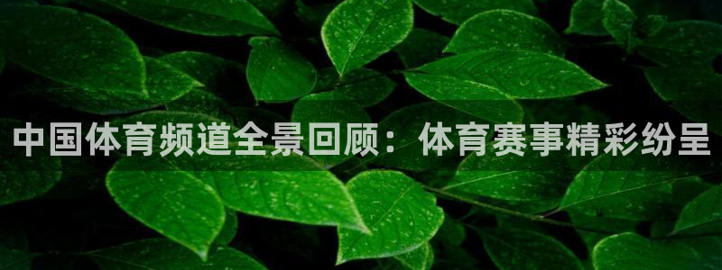 中国体育频道全景回顾：体育赛事精彩纷呈