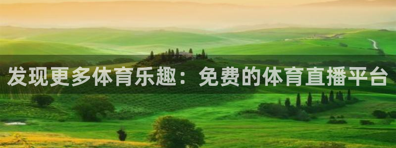 发现更多体育乐趣：免费的体育直播平台