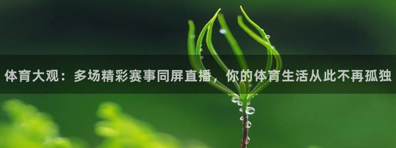 体育大观：多场精彩赛事同屏直播，你的体育生活从此不再孤独