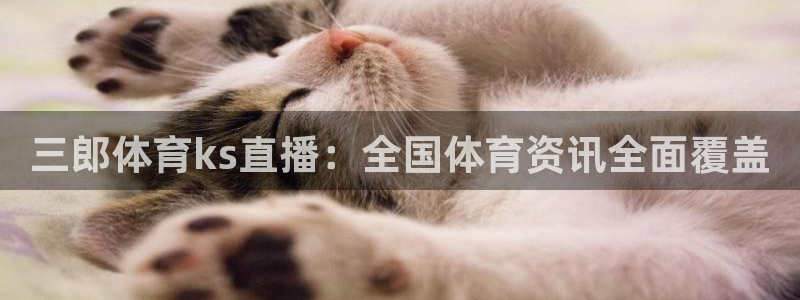 三郎体育ks直播：全国体育资讯全面覆盖